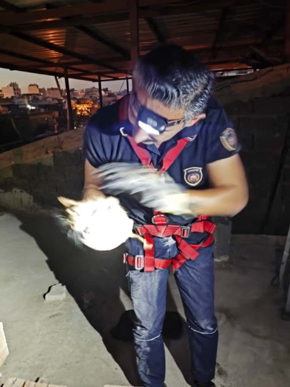 HATAY’DA HAVALANDIRMA BOŞLUĞUNA DÜŞEN KEDİ KURTARILDI