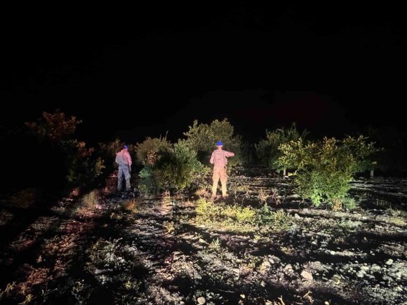 JANDARMA EKİPLERİ, NARENCİYE HIRSIZLARINA KARŞI DEVRİYEDE