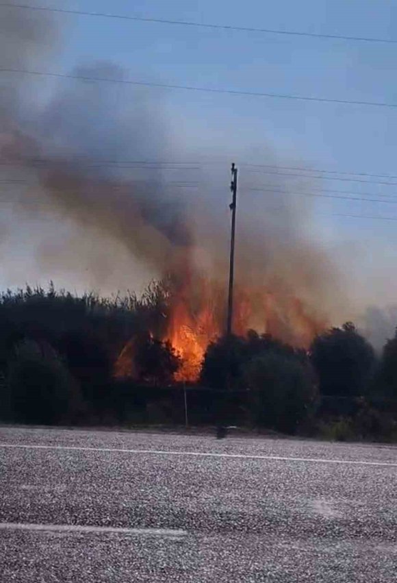 ZAMANINDA MÜDAHALE YANGININ BAHÇELERE SIÇRAMASINI ÖNLEDİ