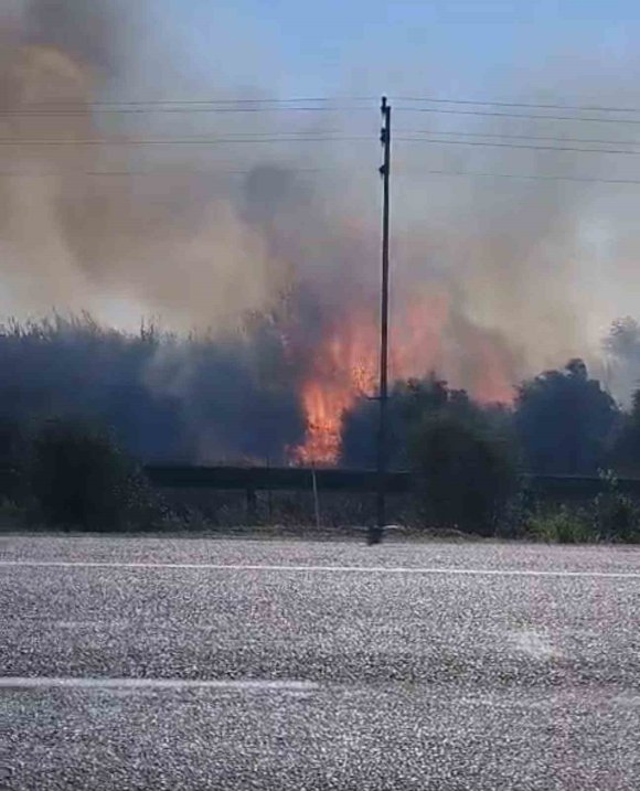 ZAMANINDA MÜDAHALE YANGININ BAHÇELERE SIÇRAMASINI ÖNLEDİ