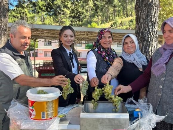 İKLİME DİRENÇLİ ORMANCILIK PROJESİ
