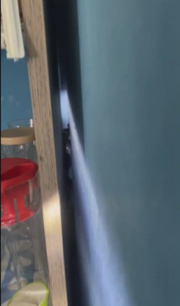 MARKETİN SOĞUTMA DOLABINA GİREN YILANI, İTFAİYE YAKALADI