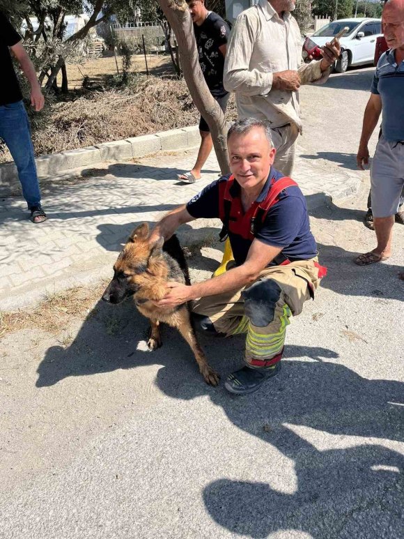 MİNİBÜSÜN ALTINDA SIKIŞIP MAHSUR KALAN KÖPEĞİ İTFAİYE KURTARDI