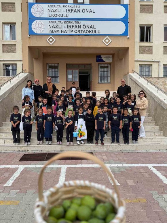 İLKOKUL ÖĞRENCİLERİ OKUL BAHÇESİNDEKİ ZEYTİN AĞAÇLARINDA HASAT YAPTI