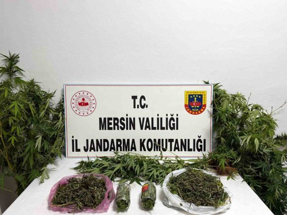 UYUŞTURUCUYU SAKSILARA EKİP EVİNİN ÇEVRESİNE YERLEŞTİRMİŞ