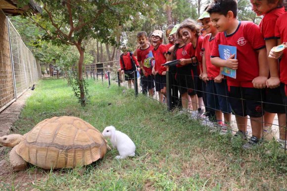 ÇOCUKLAR TEDAVİSİ TAMAMLANAN GÜVERCİNLERİ DOĞAYA SALDI