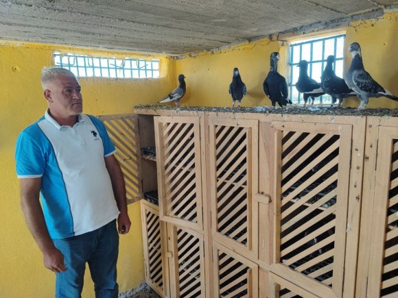 KAYIP GÜVERCİNLERİNİ BULANA ÖDÜLÜ 100 BİN LİRAYA ÇIKARDI