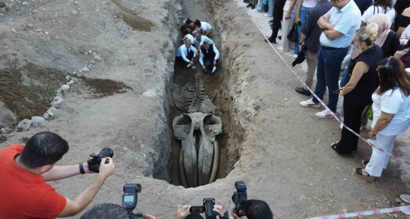 HEYECANLANDIRAN KEŞİF: ’16 METRELİK ’BALİNA’NIN KAFATASI VE GÖVDESİ TAMAMEN ORTAYA ÇIKTI