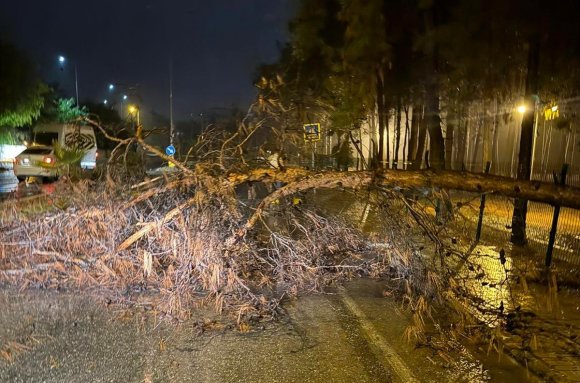 ALANYA BELEDİYESİ OLUMSUZ HAVA ŞARTLARINA KARŞI TEYAKKUZDA