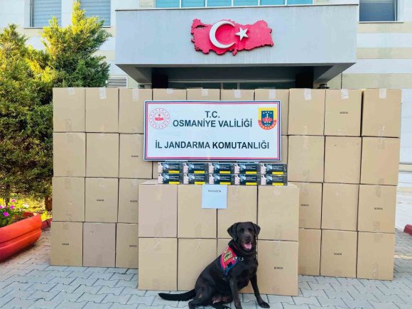 OSMANİYE’DE KAÇAK MAKARON OPERASYONUNDA 1 TUTUKLAMA