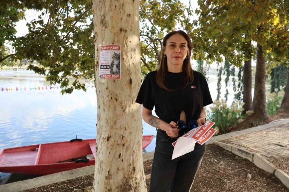 KAYIP KEDİSİNİ BULANA 100 BİN LİRA ÖDÜL VERECEK