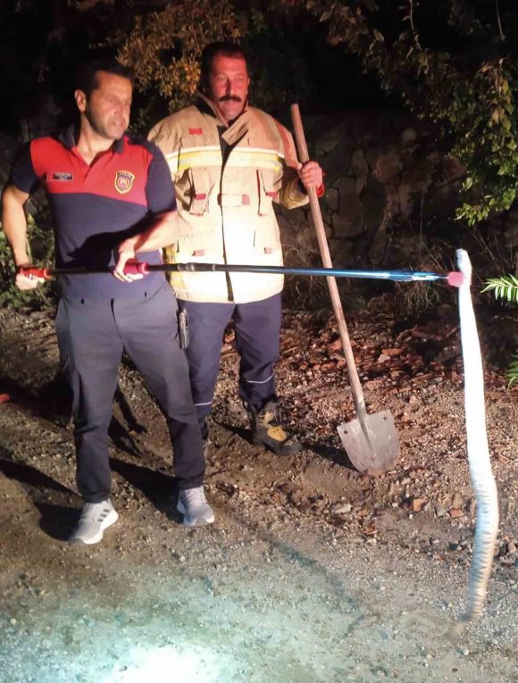 HATAY’DA EVLERE GİREN 2 YILAN YAKALANDI