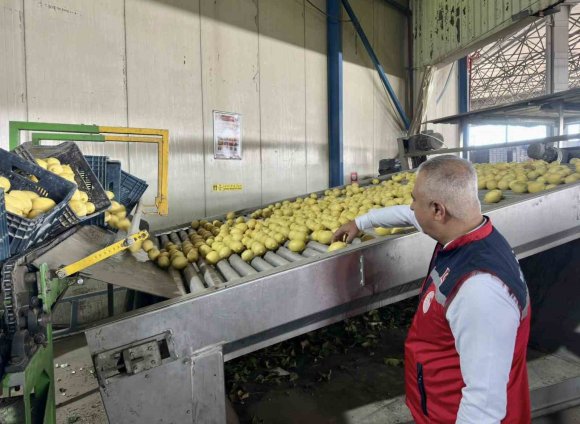 HATAY’DA LİMON İHRAÇ EDEN FİRMALAR DENETLENDİ