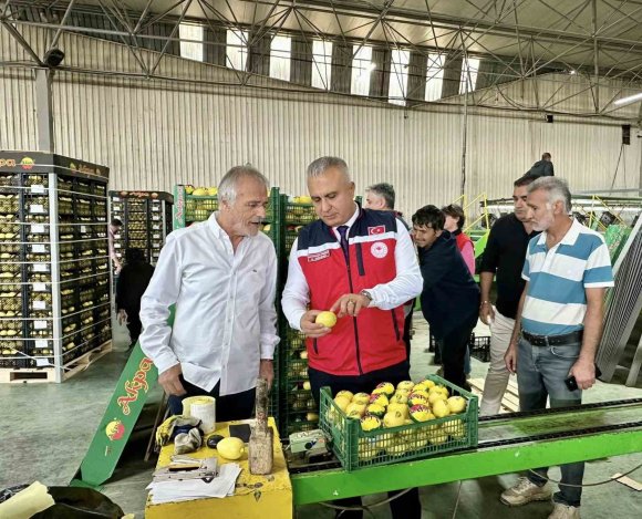 HATAY’DA LİMON İHRAÇ EDEN FİRMALAR DENETLENDİ