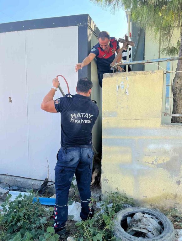 DUVAR İLE KONTEYNER ARASINDA SIKIŞAN KÖPEĞİ İTFAİYE KURTARDI