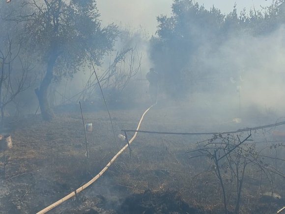 ANTAKYA’DA ZEYTİNLİK ALANDA YANGIN