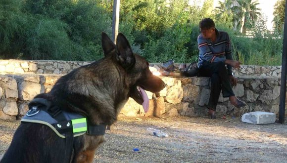 ALKOLÜN ETKİSİYLE SU KANALINA DÜŞTÜ, KÖPEĞİNİN HAVLAMASIYLA FARK EDİLEREK KURTARILDI