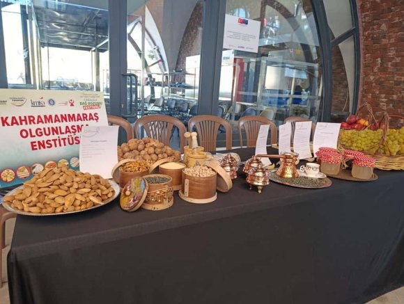 KAHRAMANMARAŞ’TA GELENEKSEL BAĞ BOZUMU FESTİVALİ