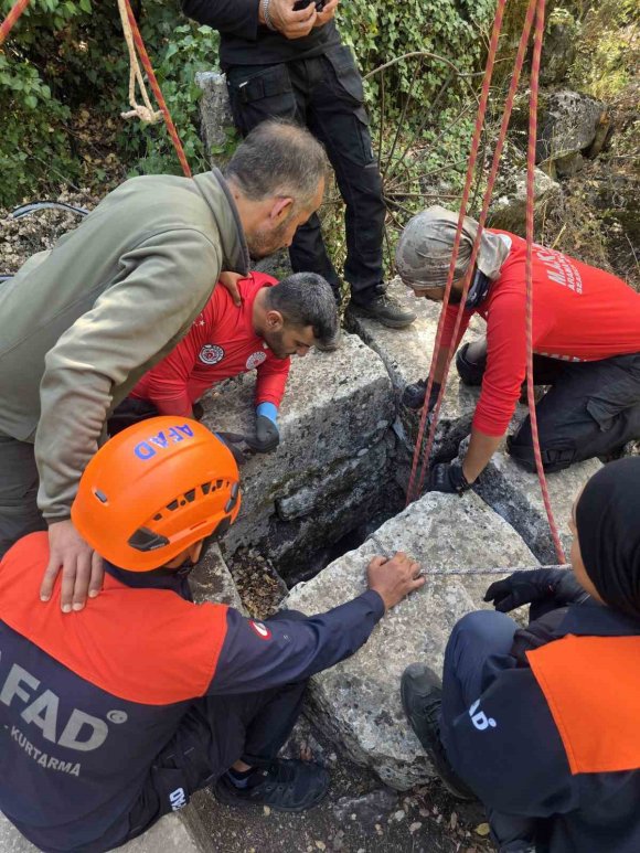 ANTALYA’DA SU KUYUSU VE SARNIÇLARDA ÇÖP TOPLADILAR