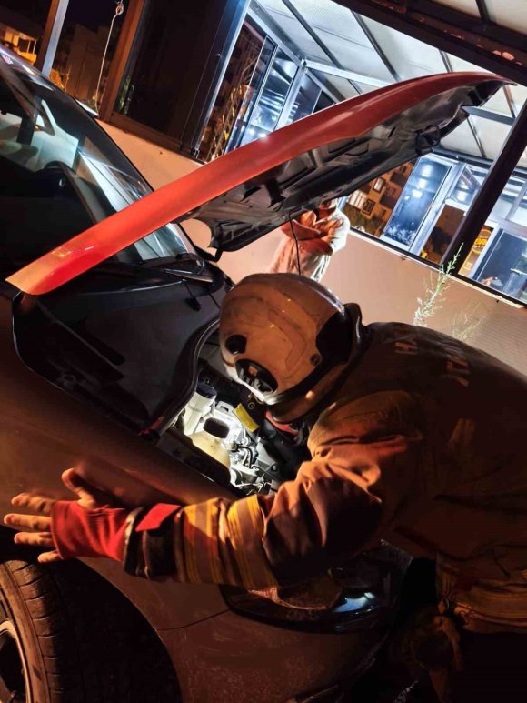 ÜŞÜYEREK ARACIN MOTORUNA GİREN YAVRU KEDİ, İTFAİYE EKİPLERİNİN ÇALIŞMASIYLA KENDİLİĞİNDEN ÇIKTI