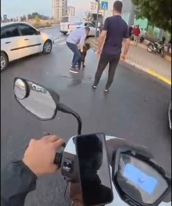 SOKAKTA AĞIZLIKSIZ GEZDİRİLEN ’ROTTWEİLER’ CİNSİ KÖPEK DEHŞET SAÇTI... O ANLAR KAMERADA