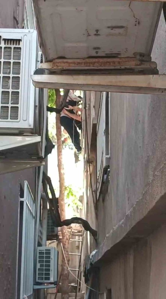 AĞAÇTA ASILI KALAN ŞAHSI İTFAİYE KURTARDI