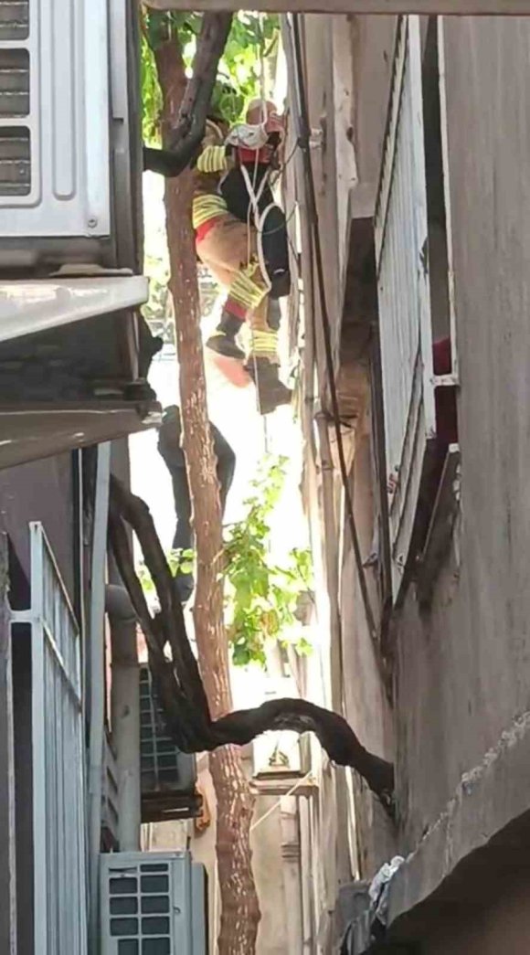 AĞAÇTA ASILI KALAN ŞAHSI İTFAİYE KURTARDI