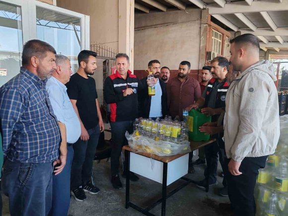 AKDENİZ MEYVE SİNEĞİ İLE MÜCADELE SÜRÜYOR