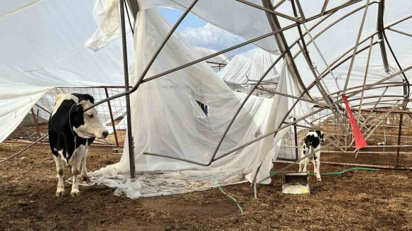 SERİK’TE HASAR TESPİT ÇALIŞMALARI SÜRÜYOR