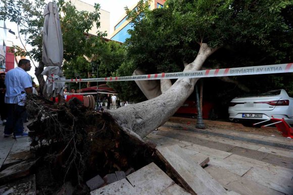ANTALYA’DA FACİADAN DÖNÜLDÜ: ARAÇLARIN ÜZERİNE DEVRİLEN AĞACIN ALTINDA KALMAKTAN SON ANDA KURTULDU