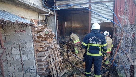 DEFNE’DE SAMANLIK YANGINI