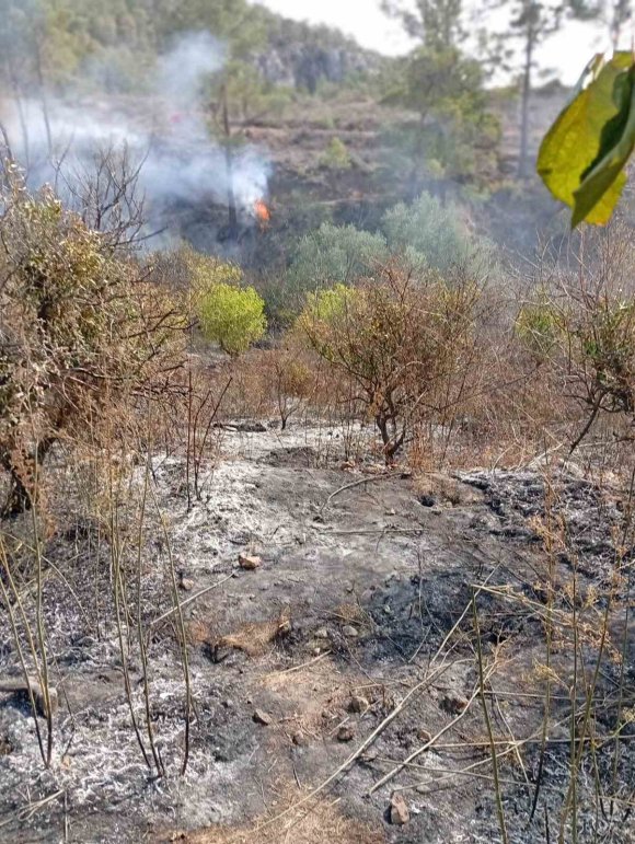 YAŞLI ADAM, BAHÇESİNİ TEMİZLERKEN YANGINDA HAYATINI KAYBETTİ
