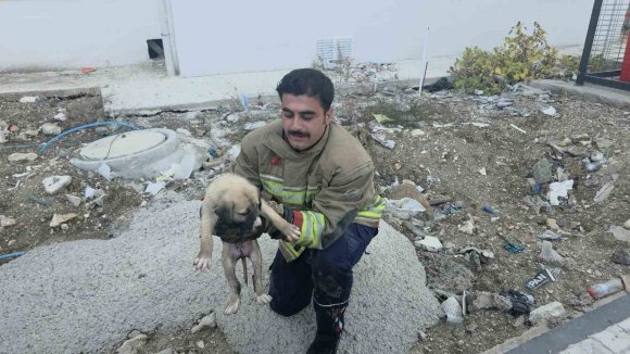 RÖGARDA MAHSUR KALAN YAVRU KÖPEĞİ İTFAİYE KURTARDI