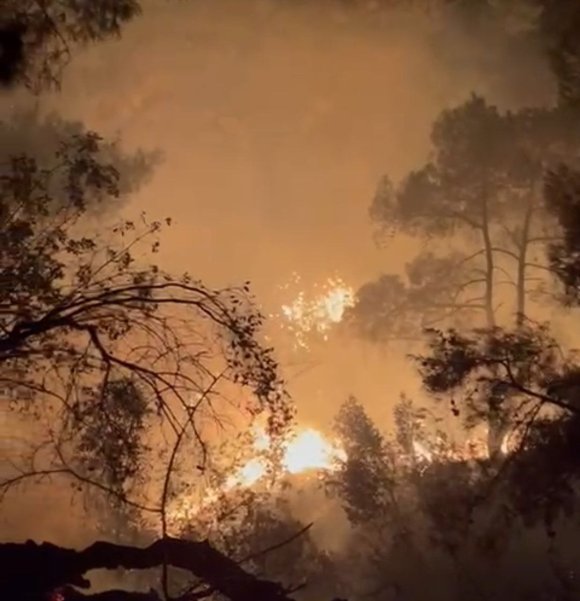 ADANA’DA ORMAN YANGINI BÜYÜMEDEN SÖNDÜRÜLDÜ