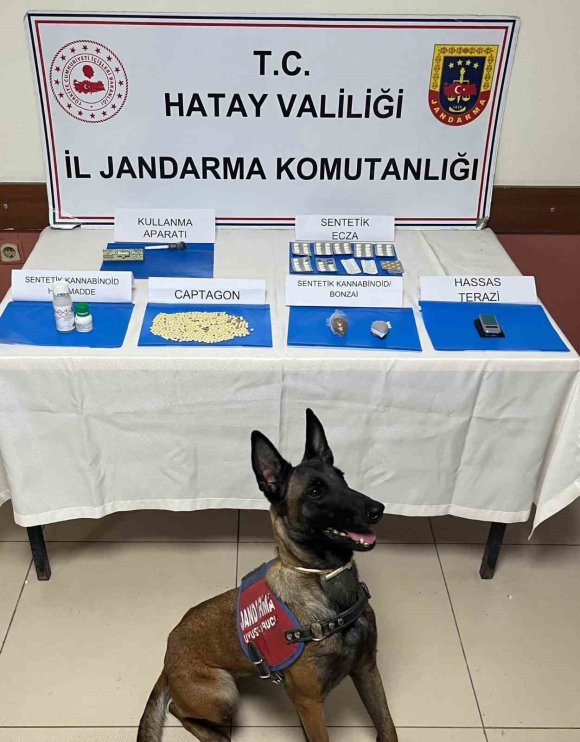 REYHANLI’DA SAZLIK ALANDA 100 BİN ADET UYUŞTURUCU HAP ELE GEÇİRİLDİ