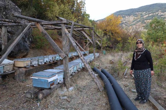 ADANA’DA SICAKLIK DÜŞMEYİNCE ARILAR KIŞLAMA İÇİN KOVANLARA GİRMEDİ
