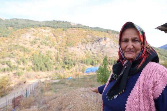 ADANA’DA 37 YIL ÖNCE KÖYLÜLERİN DİKTİĞİ FİDANLAR ORMANA DÖNÜŞTÜ