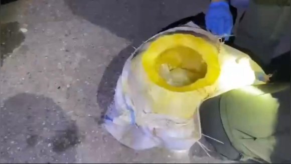 OSMANİYE’DE BAL KABAĞINDAN UYUŞTURUCU ÇIKTI