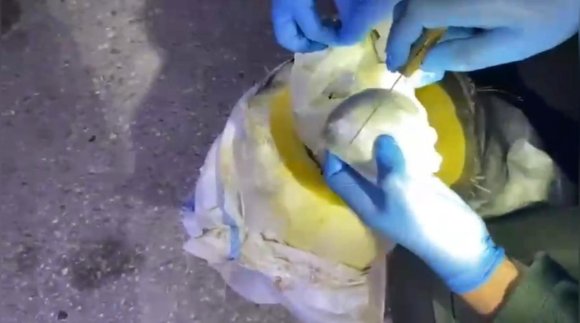 OSMANİYE’DE BAL KABAĞINDAN UYUŞTURUCU ÇIKTI