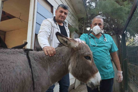 TELEF OLAN ANNESİNİN BAŞINDA BEKLEDİĞİ GÖRÜNTÜLERLE DUYGULANDIRAN SIPA YENİ YUVASINDA YAŞAMAYA BAŞLADI