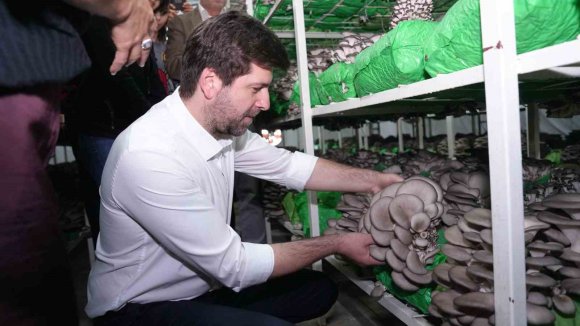 TARSUS’TA İSTİRİDYE MANTARI KURSUNDA İLK HASAT SEVİNCİ