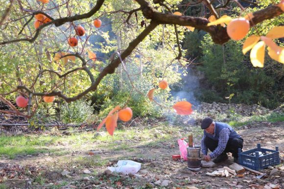 ADANA’NIN HURMALI KÖYÜ, AÇIK FABRİKAYA DÖNÜŞTÜ