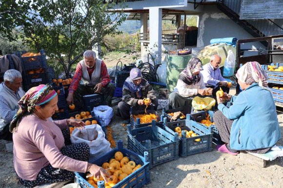 ADANA’NIN HURMALI KÖYÜ, AÇIK FABRİKAYA DÖNÜŞTÜ