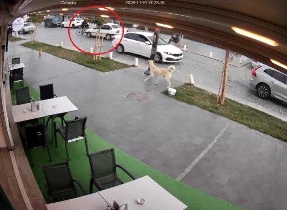 YOLUN KARŞISINA GEÇMEK İSTEYEN BİSİKLETLİYE OTOMOBİL ÇARPTI: 1 YARALI