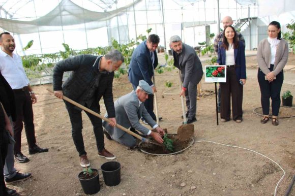 KAHVE SADECE ADIYLA DEĞİL ÜRETİMİYLE DE TÜRK OLACAK