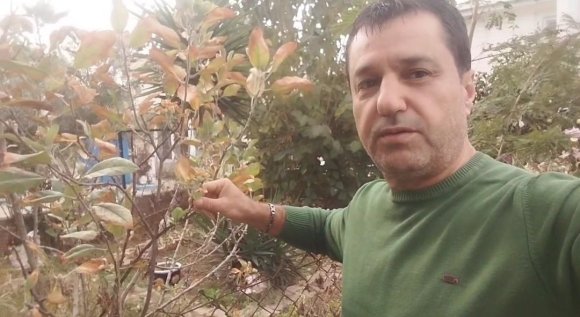 KASIM AYINDA ELMA AĞACI ÇİÇEK AÇIP MEYVE VERDİ