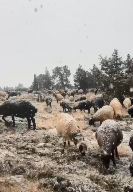 MERSİN’İN YÜKSEK RAKIMLI BÖLGELERİNDE KAR YAĞIŞI