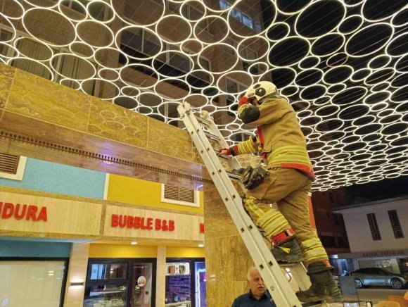 HATAY’DA DUVAR BOŞLUĞUNA SIKIŞAN KEDİ İTFAİYE EKİPLERİNCE KURTARILDI
