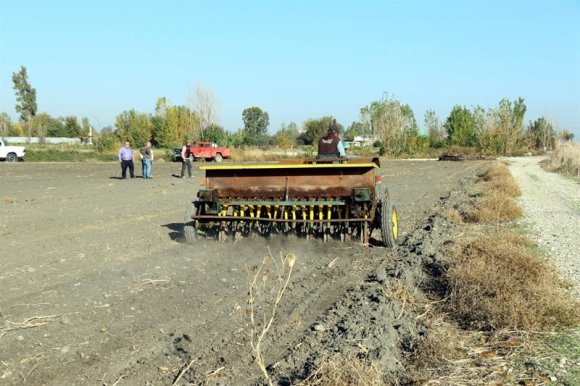 MERA ALANLARI İŞGALDEN KURTARILIYOR