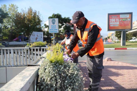 ANTALYA’DA 4 MİLYON ÇİÇEK TOPRAKLA BULUŞUYOR